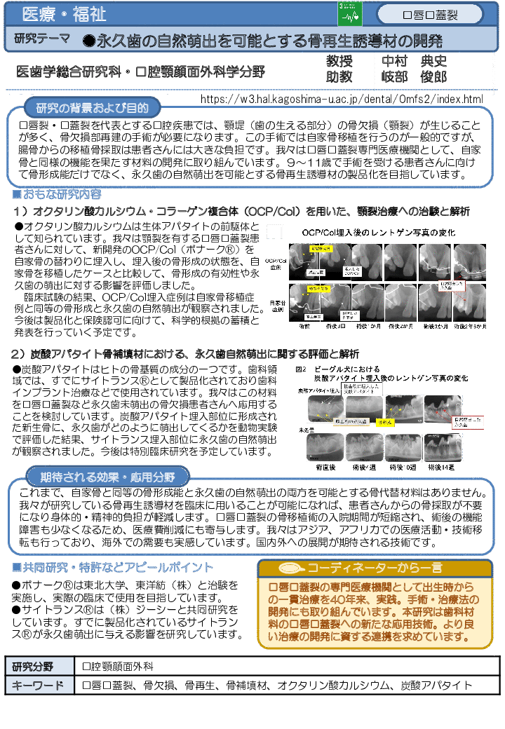 永久歯の自然萌出を可能とする骨再生誘導材の開発