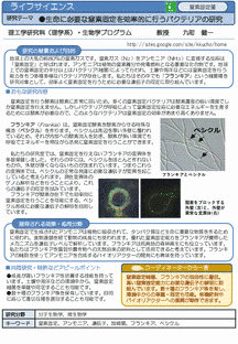 生命に必要な窒素固定を効率的に行うバクテリアの研究