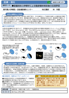 画像流体力学解析による動脈塞栓術前後の血流評価